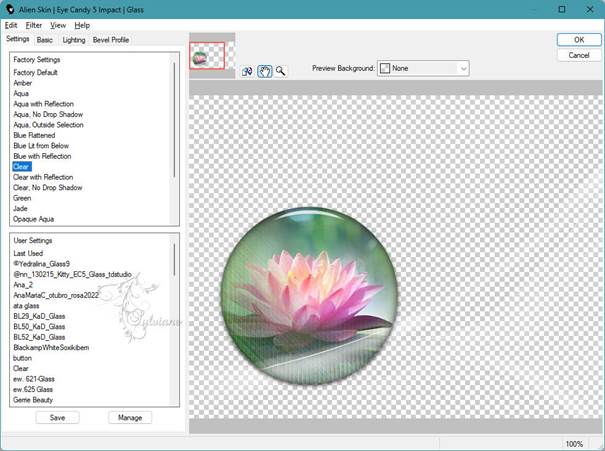 Afbeelding met tekst, bloem, schermopname, software  Automatisch gegenereerde beschrijving